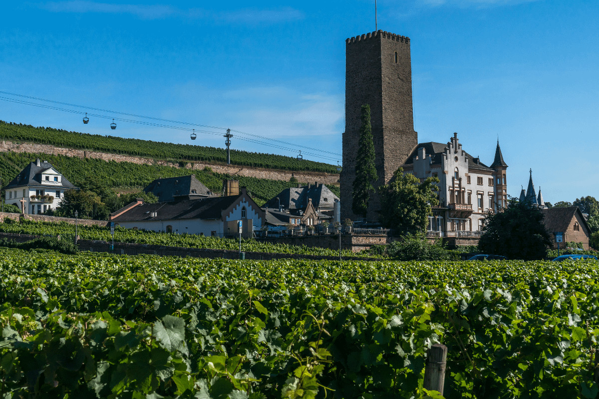 berlin wineries