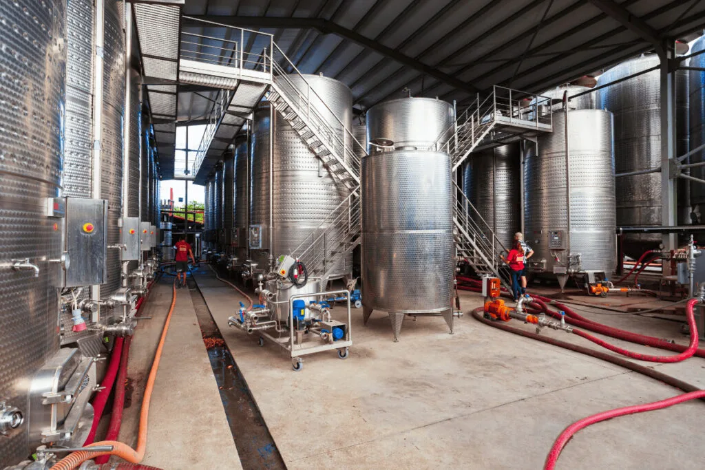 Gewurztraminer vs Riesling: Key Differences Guide 6 gewurztraminer wine production vineyard