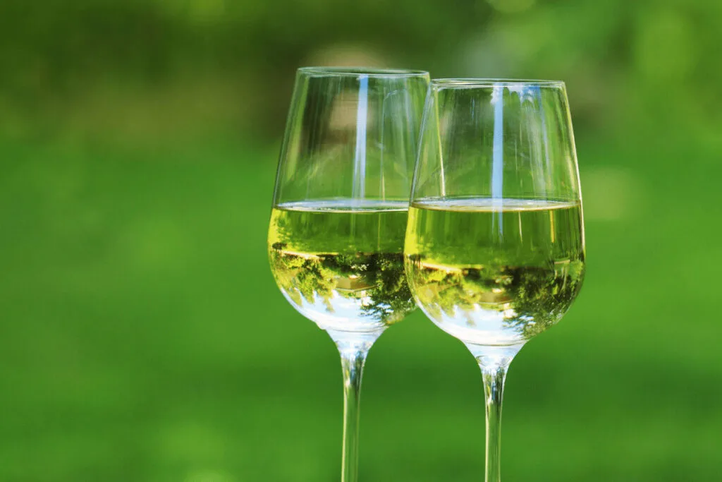 Gewurztraminer vs Riesling: Key Differences Guide 1 riesling wine glass with white wine