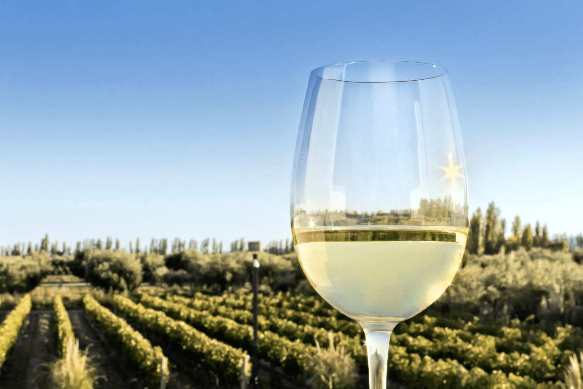 white wine