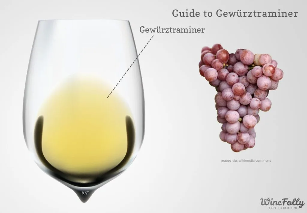 Gewurztraminer vs Riesling: Key Differences Guide 2 gewurztraminer vs riesling wine comparison
