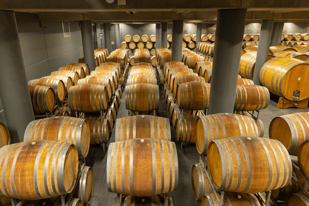 Red Wine Guide: Malbec Wine vs Cabernet Sauvignon 3 a group of barrels in a room
