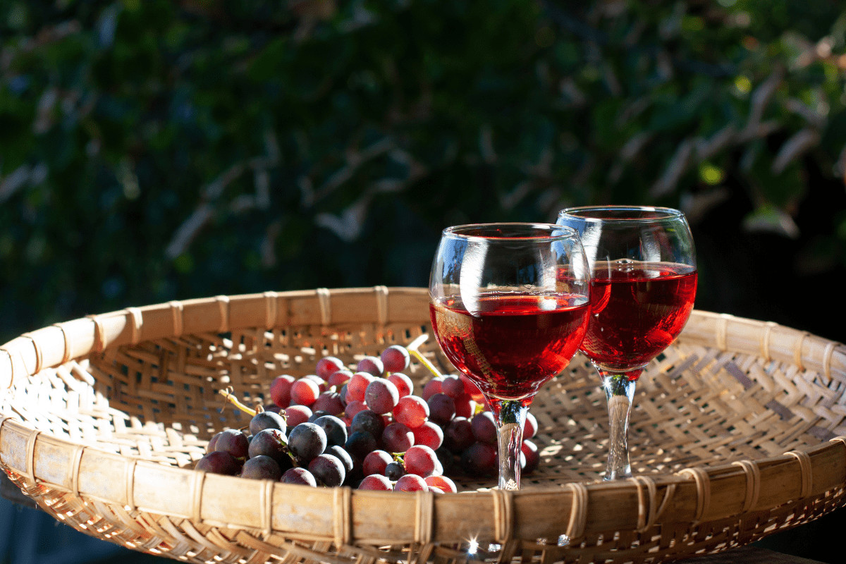 Red Wine Guide: Malbec Wine vs Cabernet Sauvignon