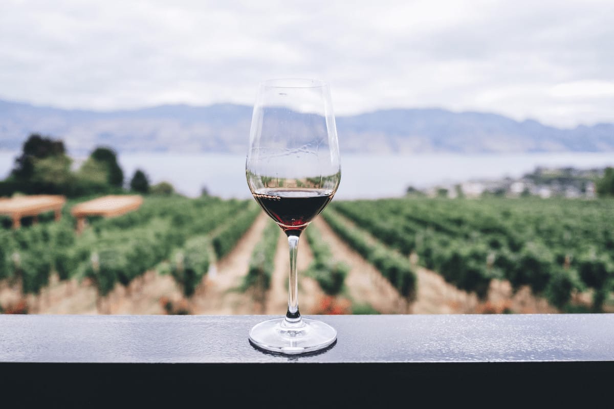 Red Wine Guide: Malbec Wine vs Cabernet Sauvignon 5 malbec wine vs cabernet sauvignon food pairing suggestions