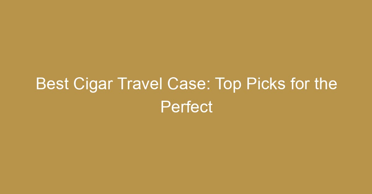 best cigar travel case