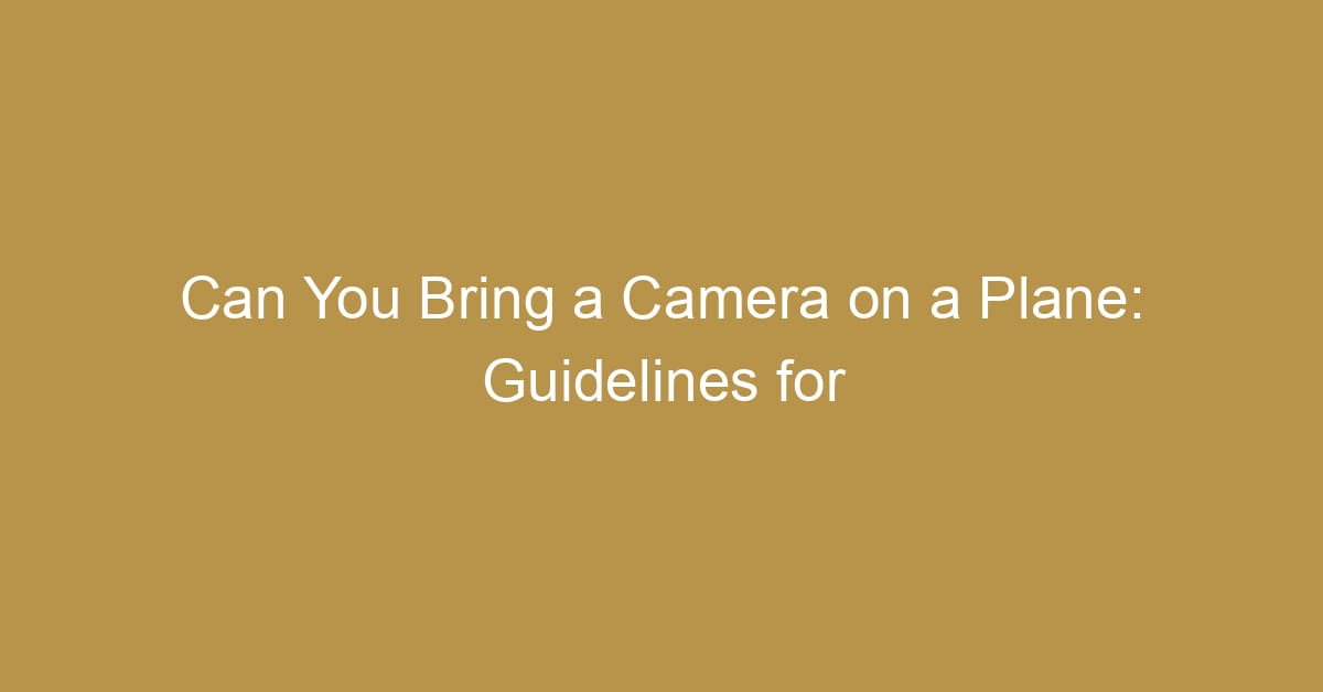 can you bring a camera on a plane