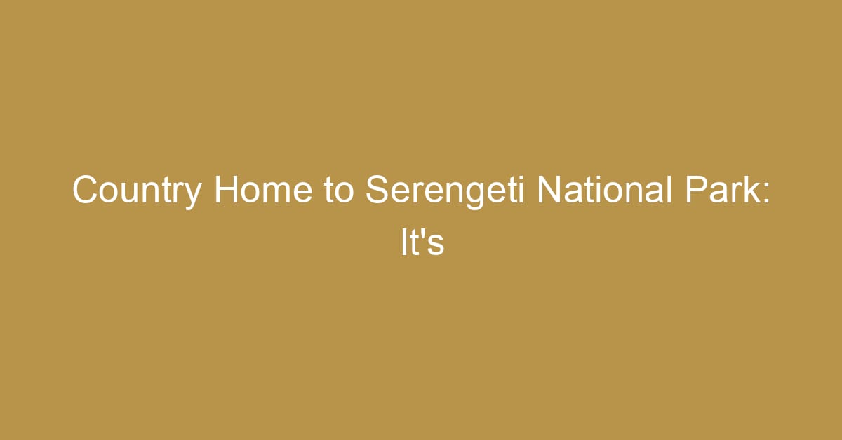 country home to serengeti national park
