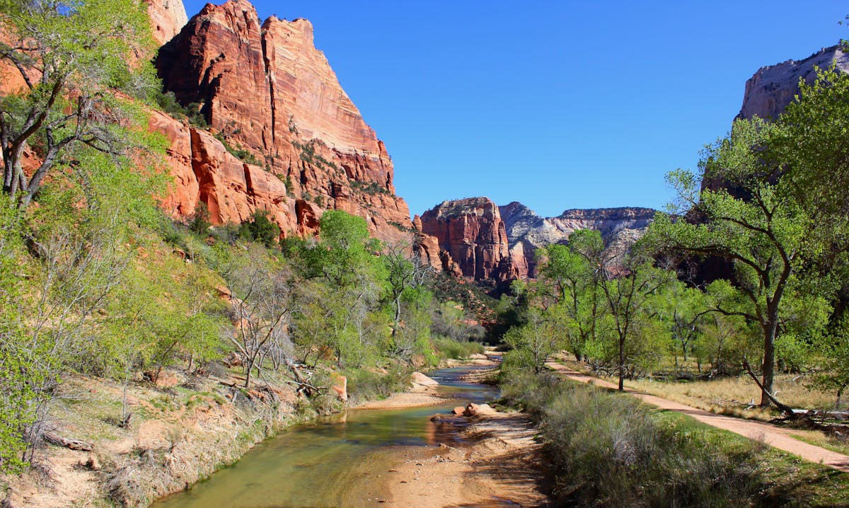 Beautiful canyon landscape with red rocks and a flowing river under a clear blue sky, perfect for nature lovers.