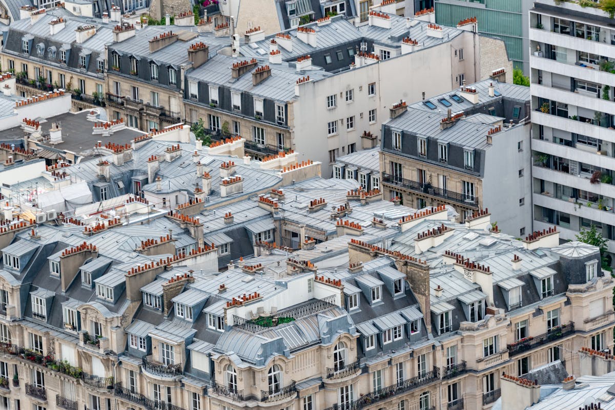 Aerial view of classic Paris rooftops showcasing urban architecture and detailed designs.