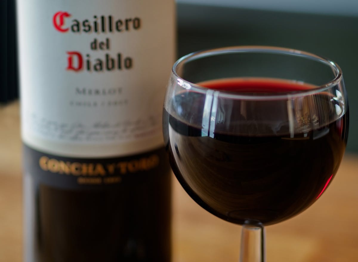 Syrah vs Merlot red wine comparison - two glasses of bold full-bodied red wine varieties