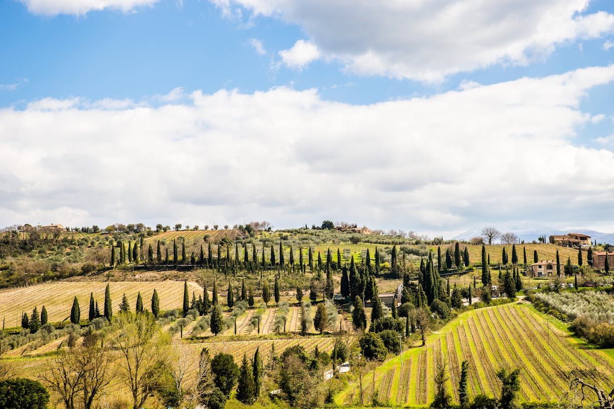 Iconic Tuscany landscape with medieval hilltop town and golden countryside views for day trip visitors