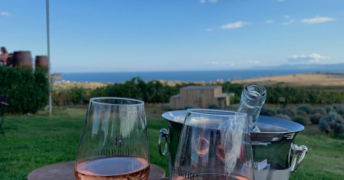white wine and red wine glasses at vineyard showing sugar content differences