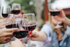 Home 10 Napa wineries