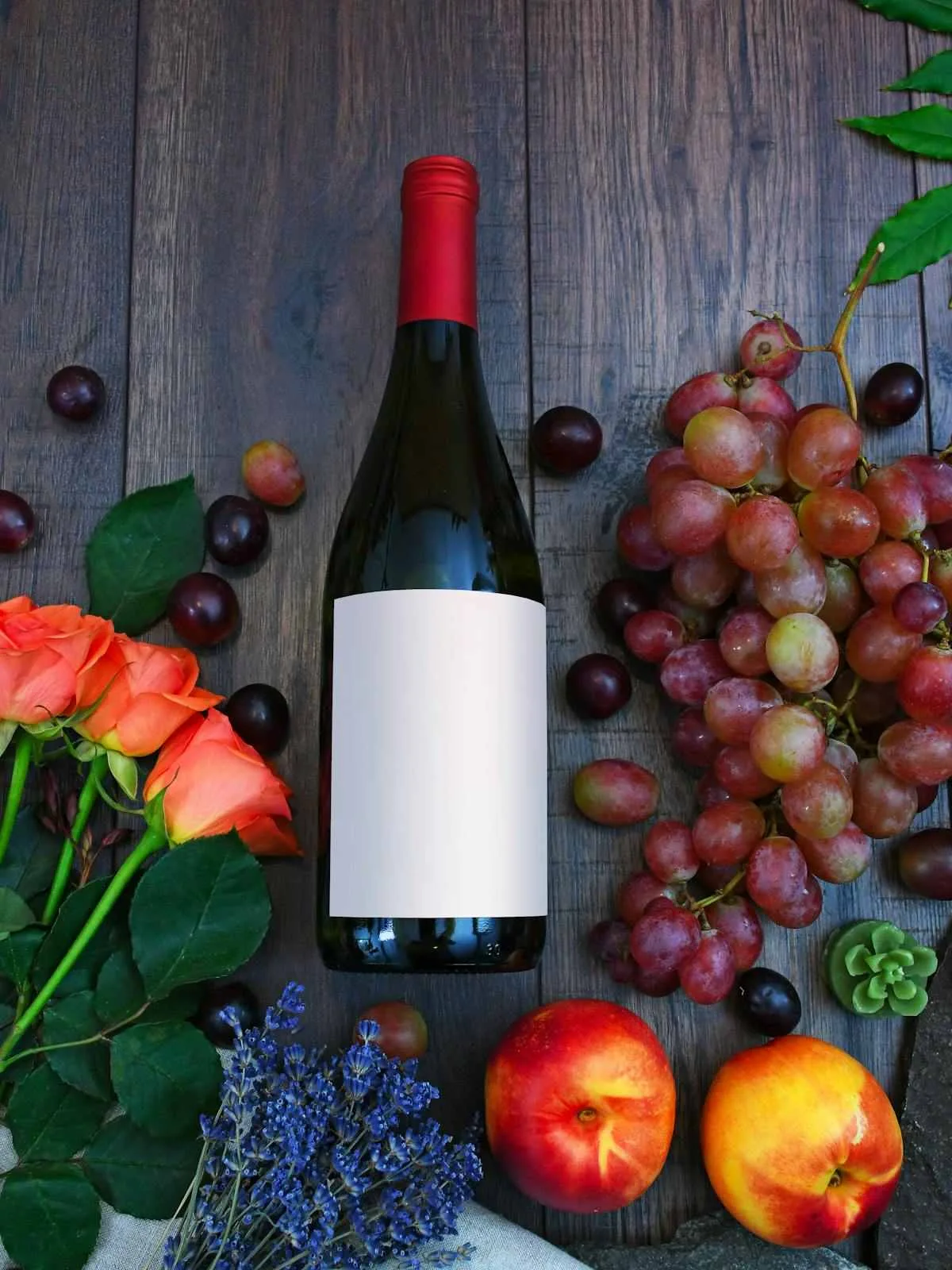 Amalfi Coast wineries Italy coastal vineyard wine tasting