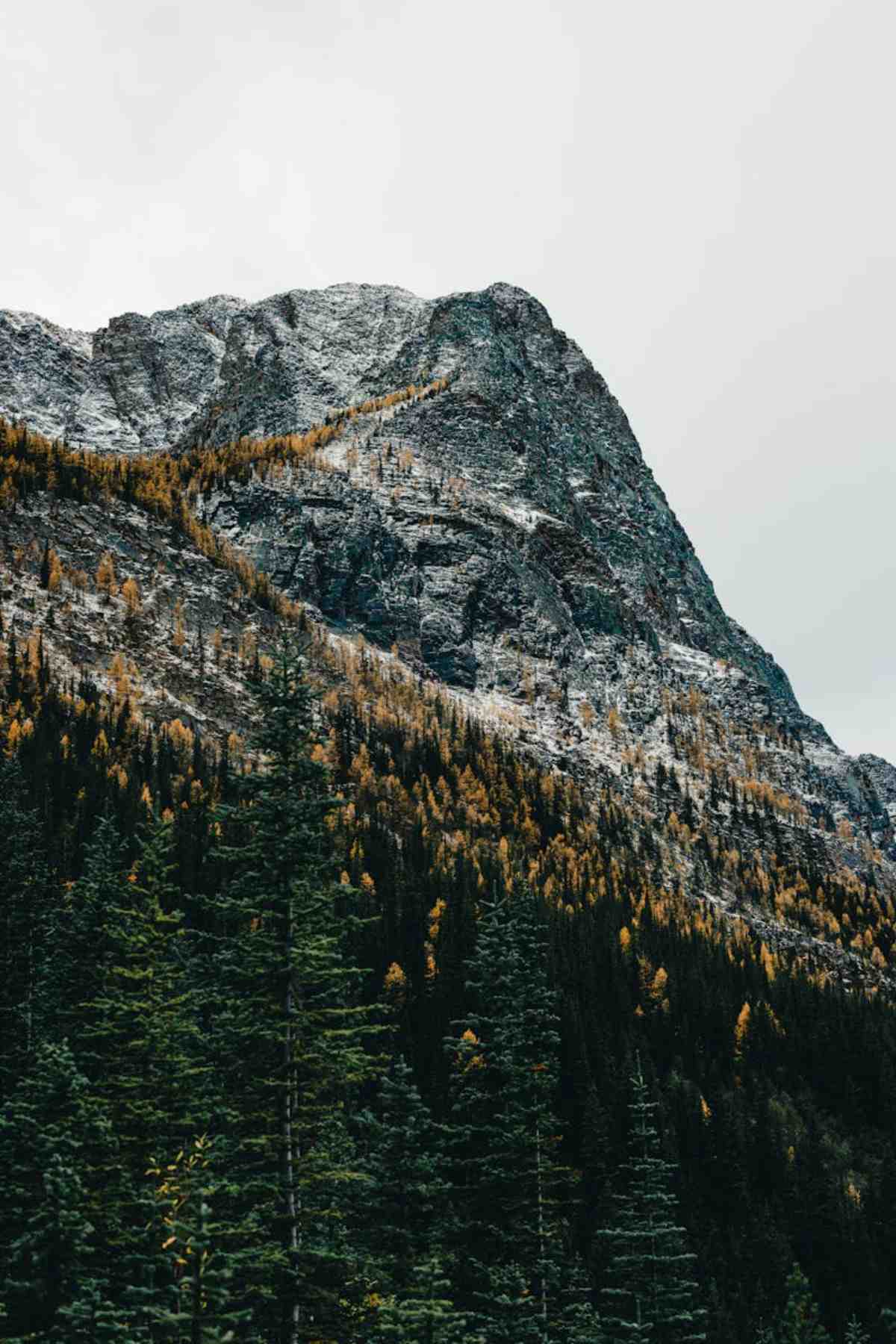 Majestic mountain peak snow surrounded by vibrant autumn forest Canada