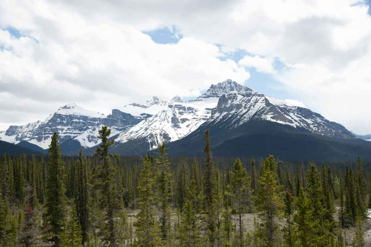 Scenic view of snow-capped mountains and evergreen forest under a cloudy sky.