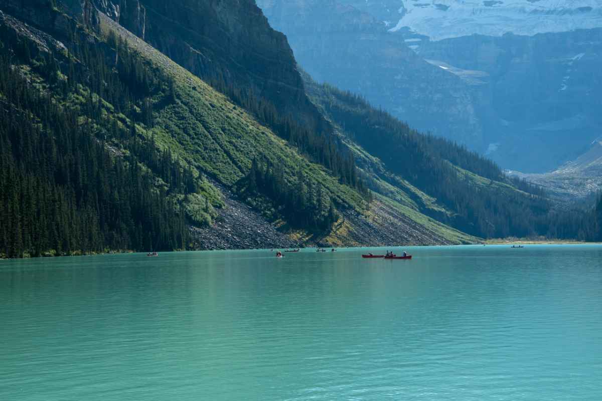 Canoes on the turquoise waters of Lake Louise surrounded by lush mountains in summer.