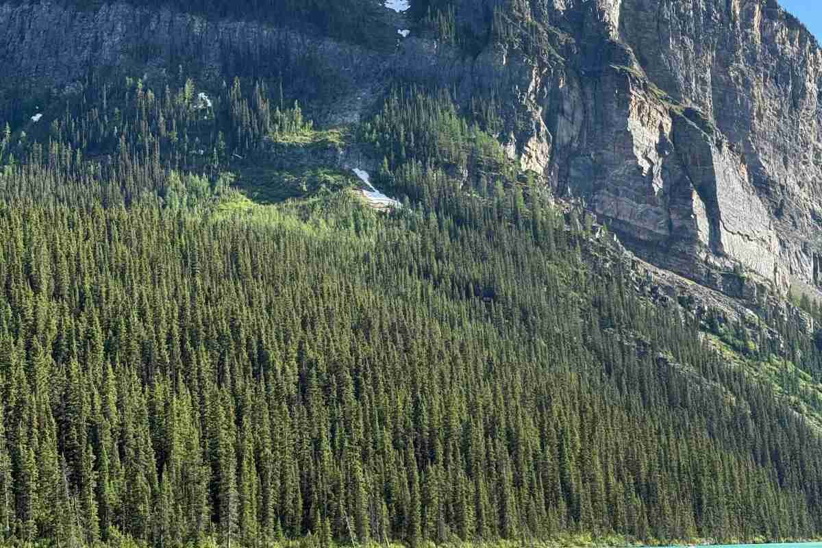 Stunning view of Lake Louise with red canoes against majestic mountain.