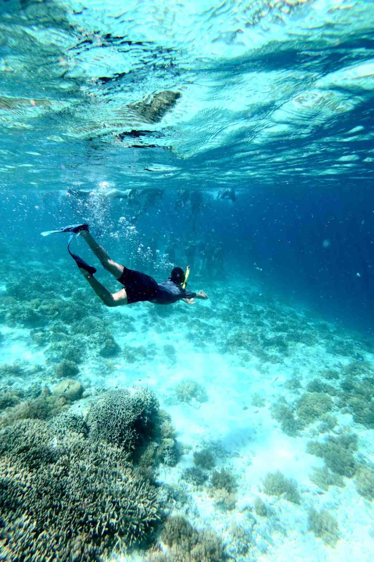 Beaches in South Africa: Discover Sun, Sand, and Surf 5 Diver exploring vibrant coral reefs underwater tropical ocean