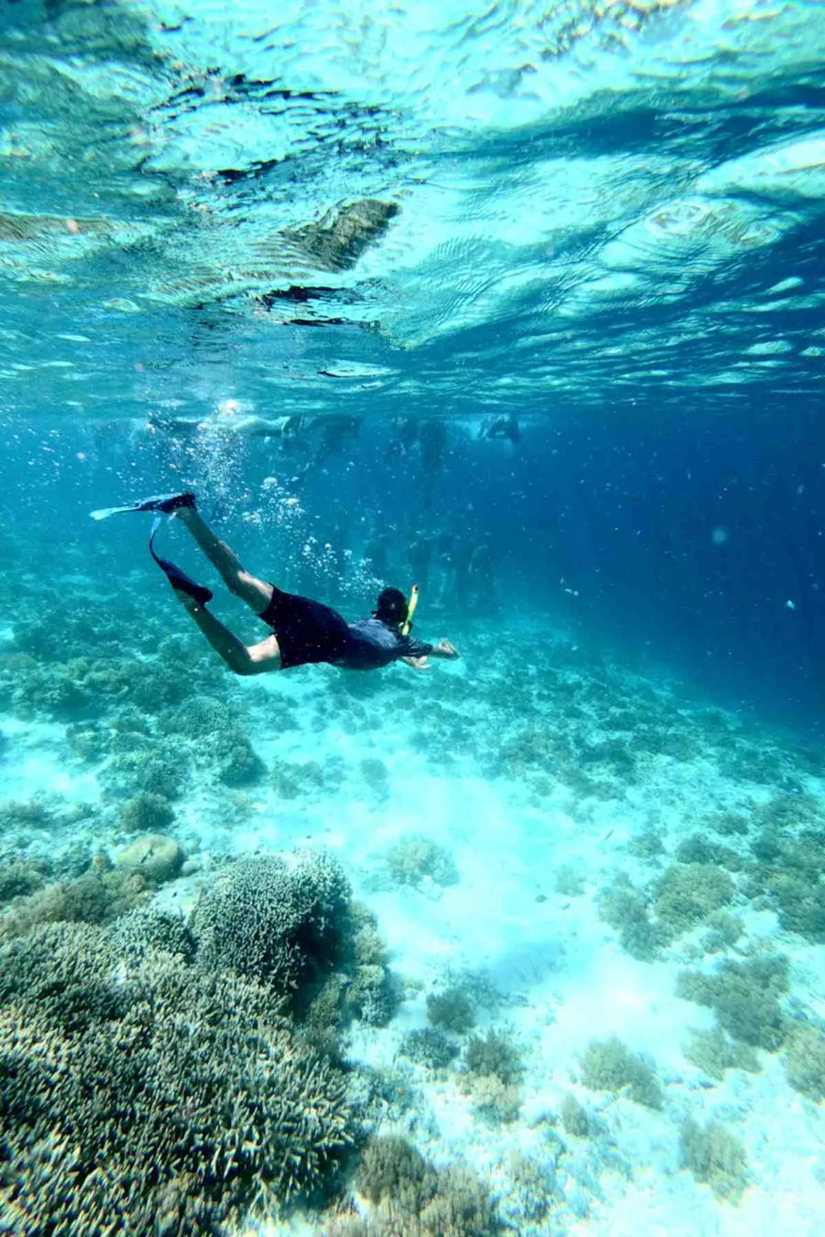 Diver exploring vibrant coral reefs underwater tropical ocean