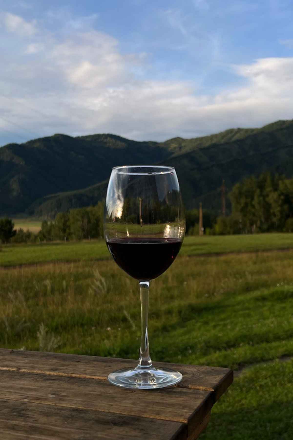 Berlin Wineries: Explore Urban Vineyards for Wine Lovers 13 Glass of wine on a table vineyard