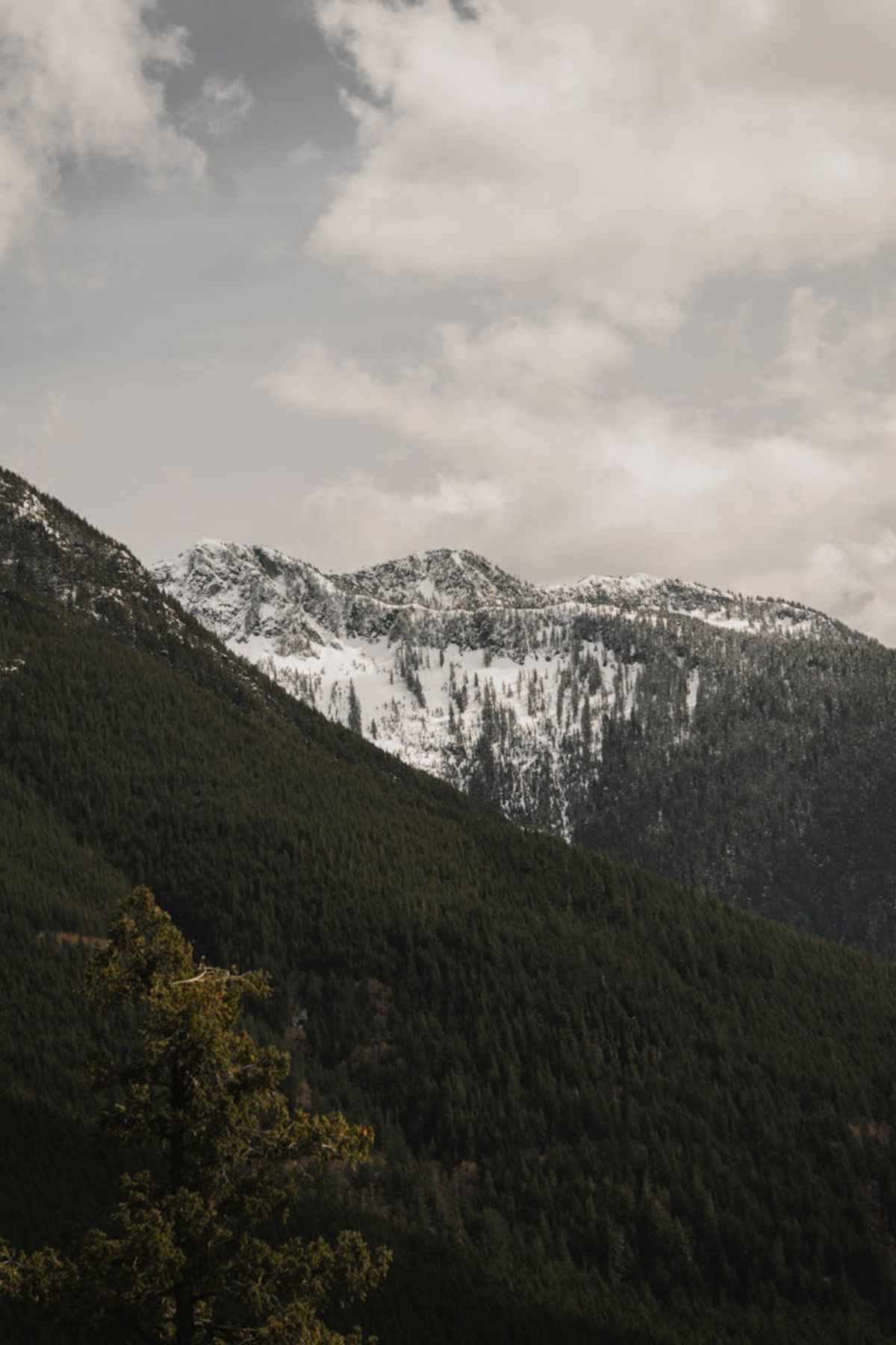 Snow-capped mountains and lush forests in Vancouver BC