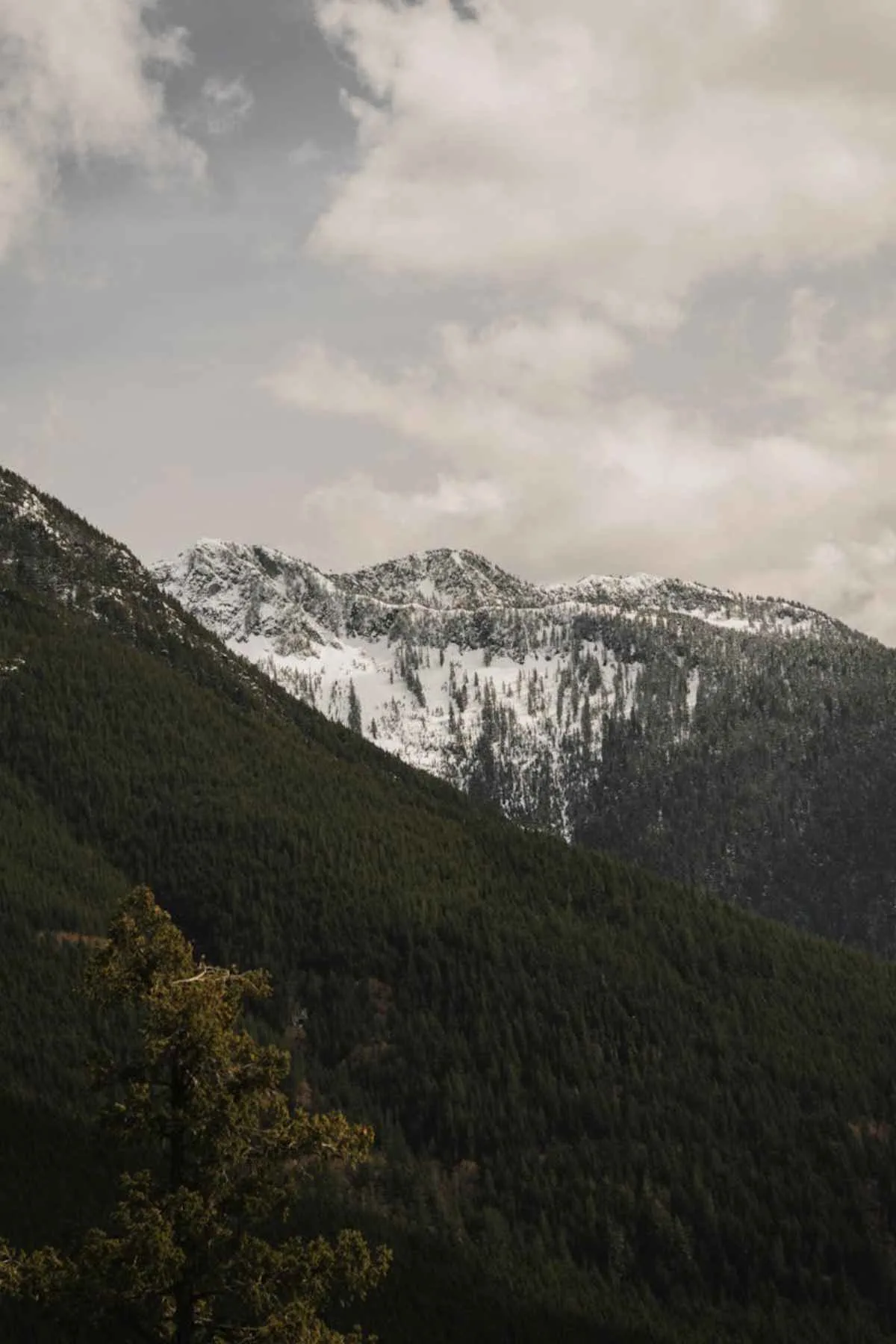 Snow-capped mountains and lush forests in Vancouver BC