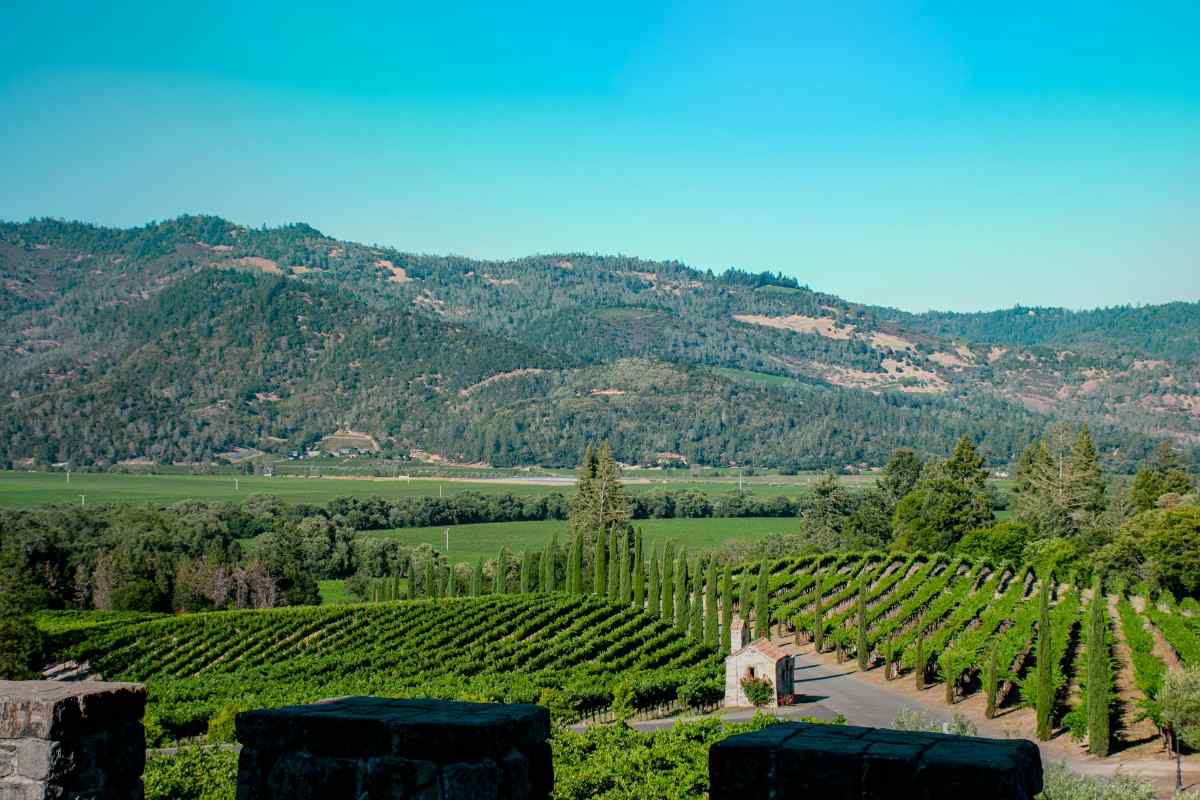 Napa Valley vineyard estate representing black owned wineries in Napa wine country