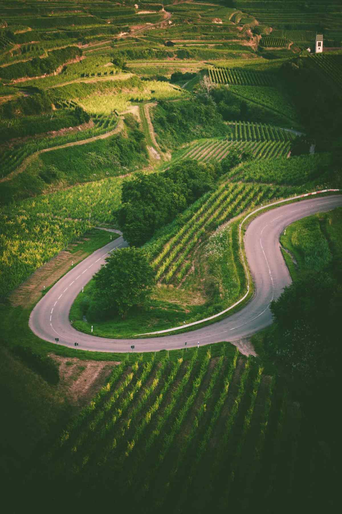 Day Trips from Bordeaux: Best Nearby Escapes 1 Aerial view of a winding road through lush vineyards scenic landscape