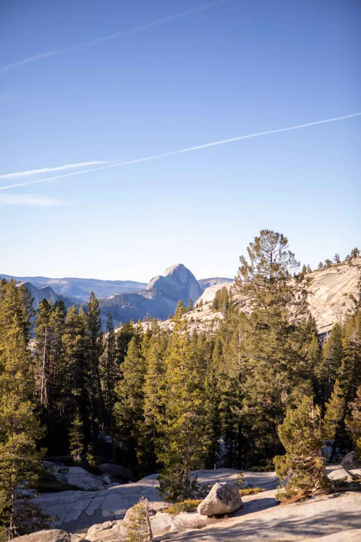 Half Dome amidst lush pine trees clear blue sky Yosemite National Park
