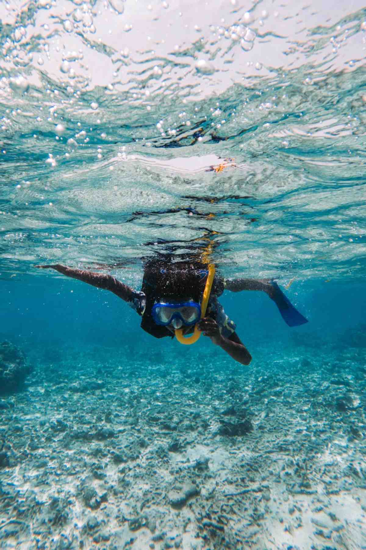 Snorkeler exploring clear blue waters and coral reefs marine adventure