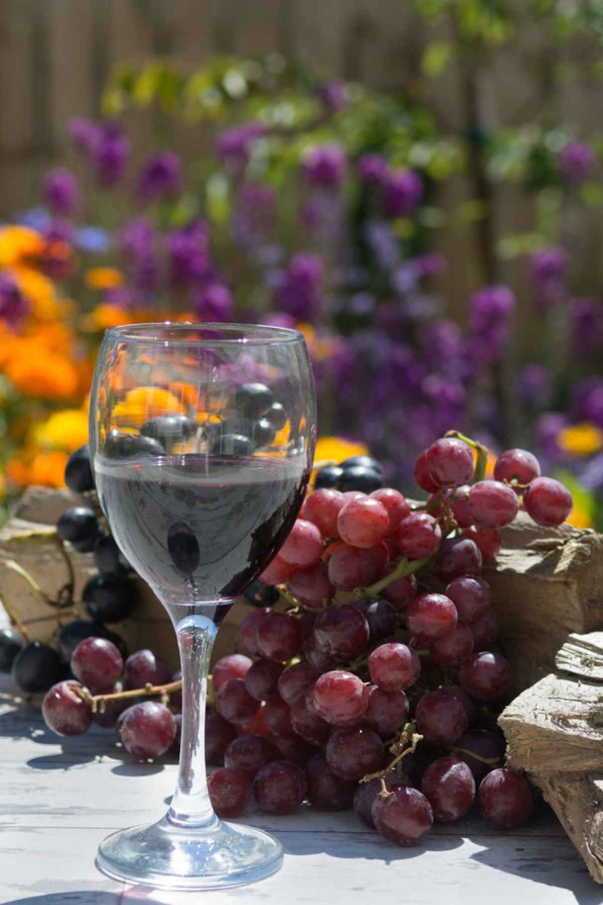 Glass of red wine beside grapes in a colorful vineyard garden