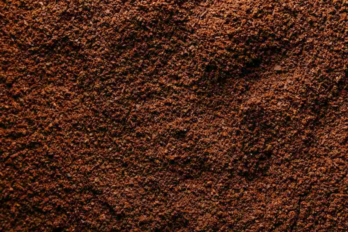 Best Pre Ground Coffee for French Press: Top Picks for a Rich Brew 1 French press coffee brewing with coarse pre-ground coffee for best results