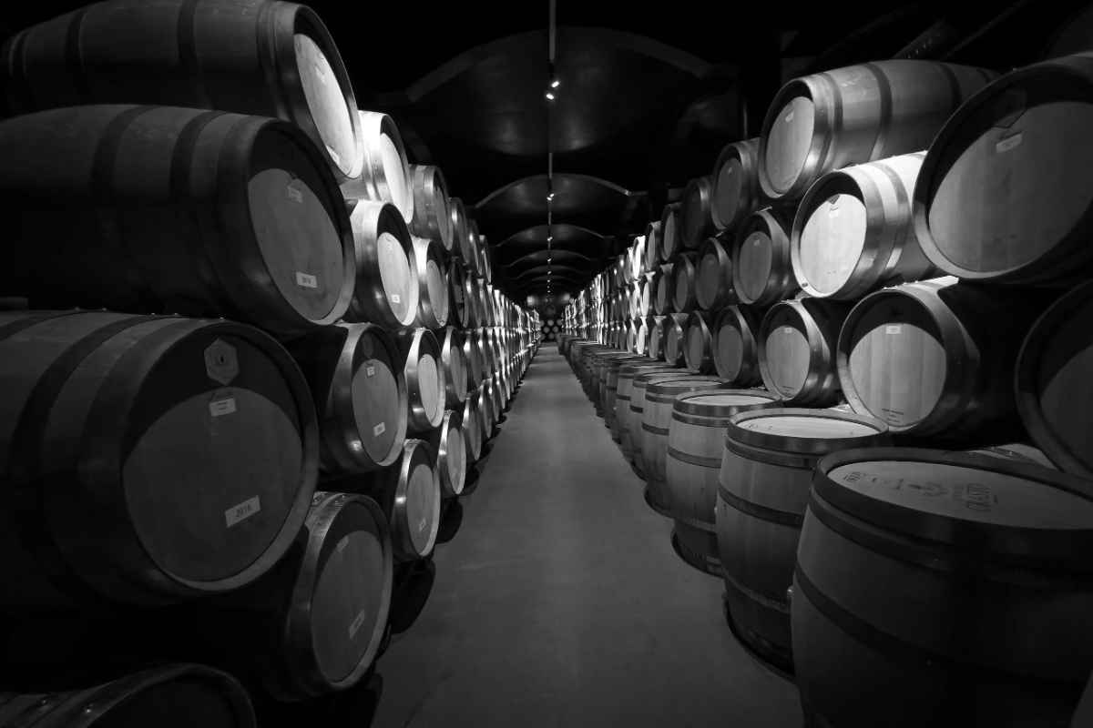 Black and white photo of wine barrels stored in a cellar at a Portuguese winery.