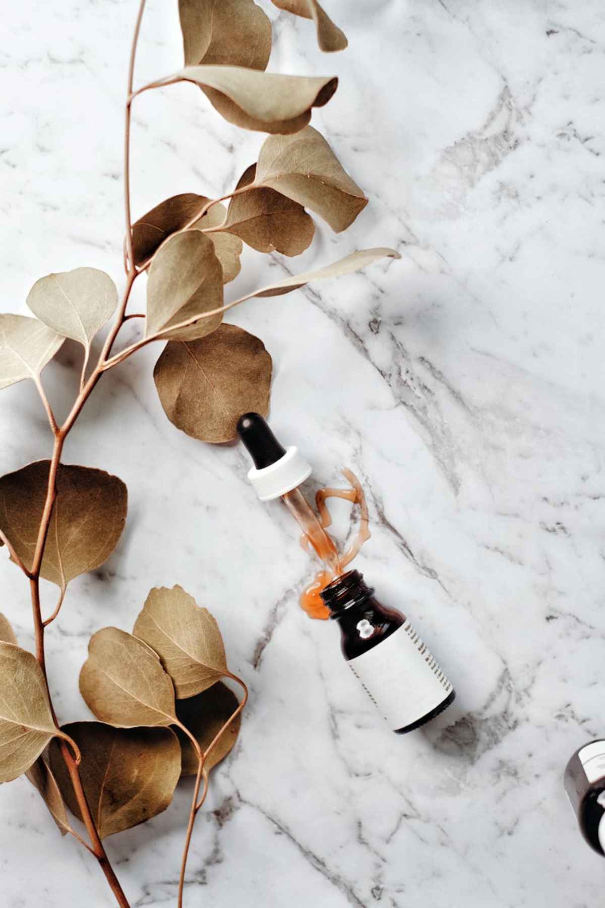Serum bottle on marble surface eucalyptus skincare flatlay