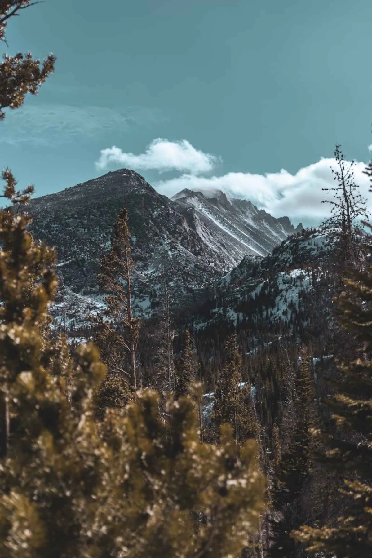 Breathtaking view of snow-covered Rockies and forests in Colorado USA