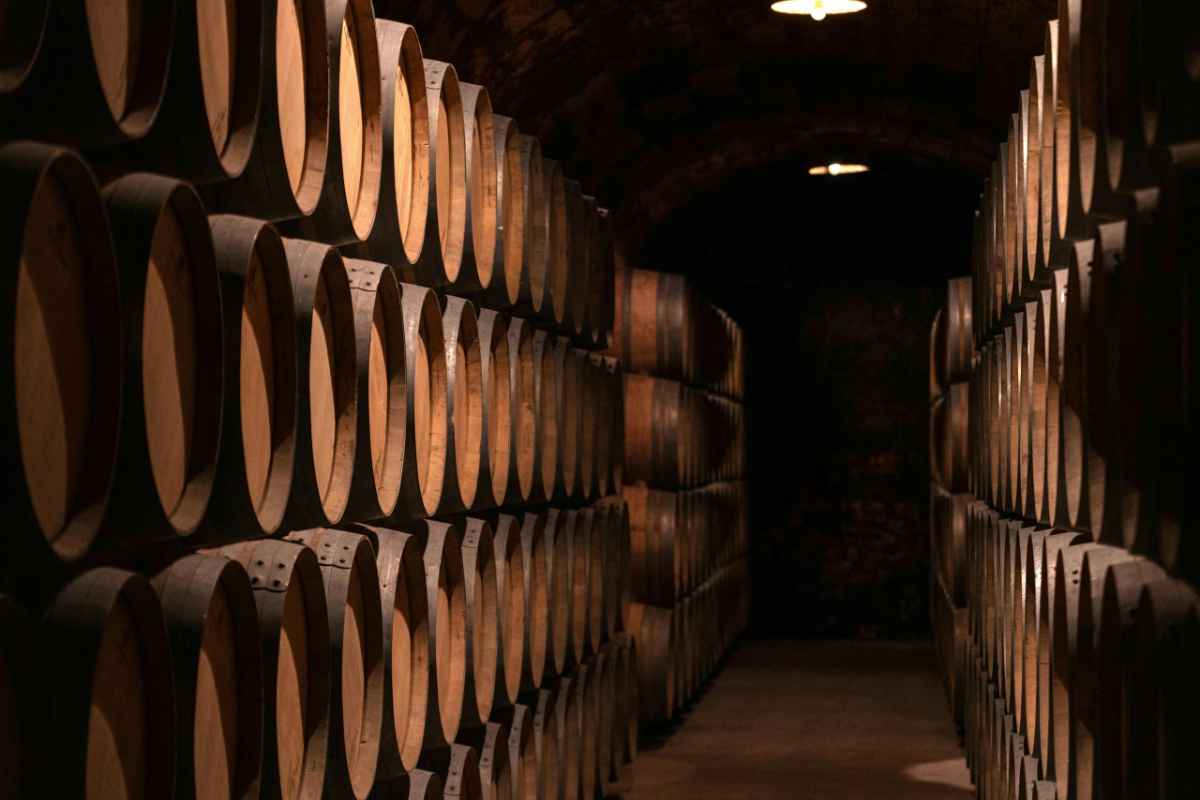 A dimly lit wine cellar filled with wooden barrels in an atmospheric setting.