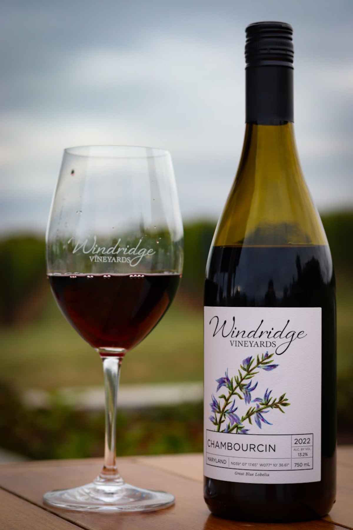 Glass and bottle of Chambourcin red wine outdoors vineyard