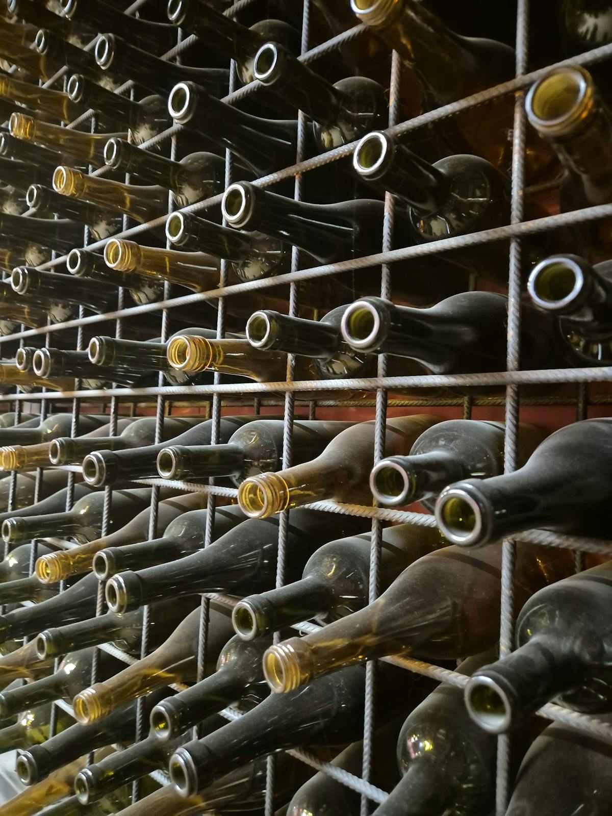 luxury wine and culinary guide vineyard wine glass tasting