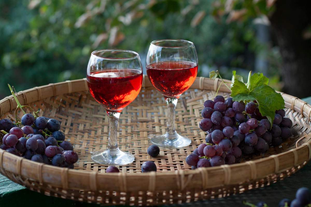 Wine grape varieties sunlit and ready for harvest in vineyard