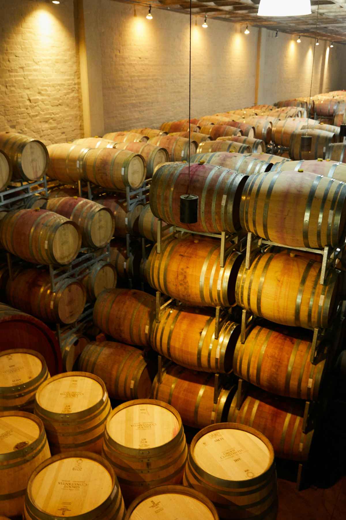Wine making barrel cellar with oak barrels aging process warm lighting