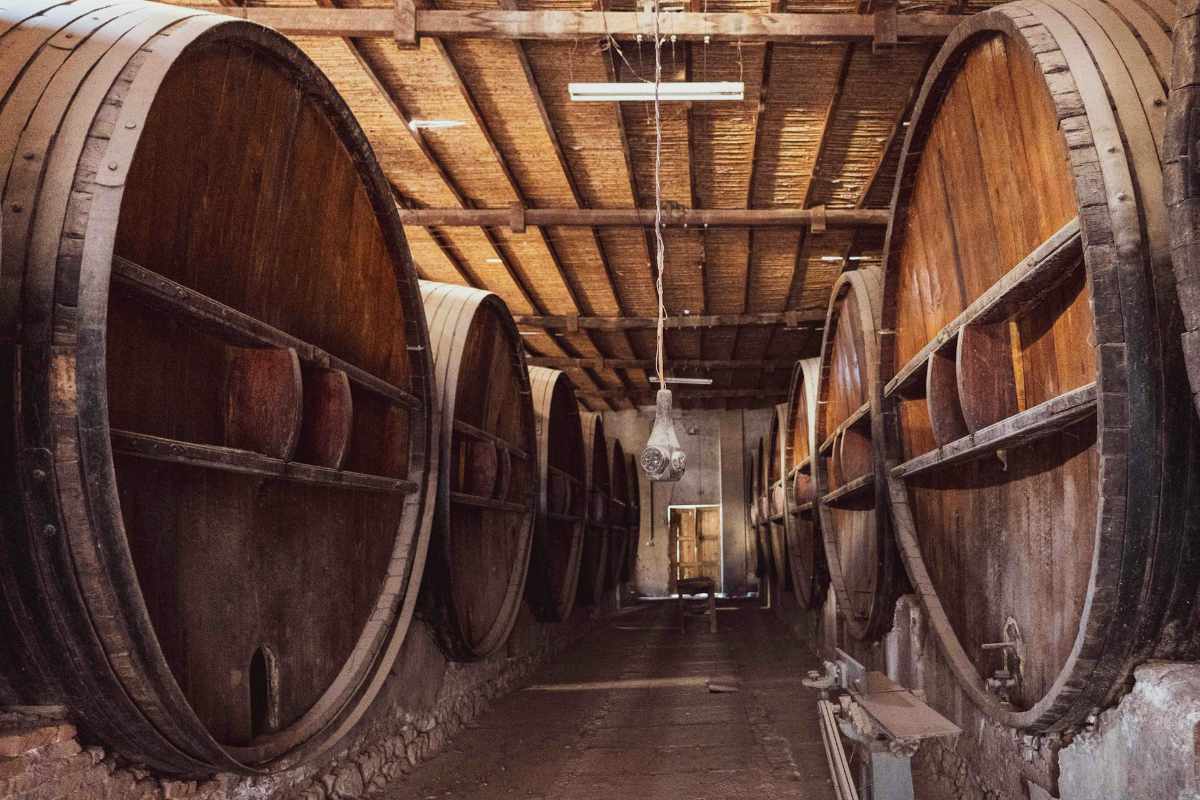 Wine barrels in a wine cellar representing the winemaking process at a winery