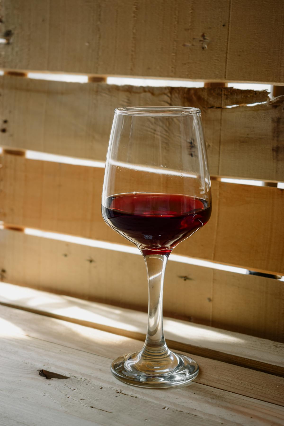 Glass of zinfandel red wine compared to merlot for tasting