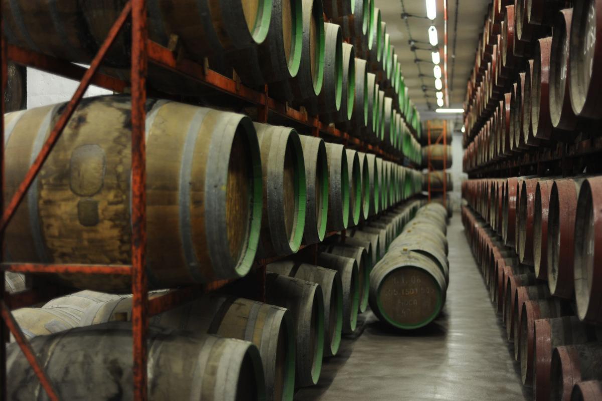 Wine barrels stacked on metal racks in a long winery cellar